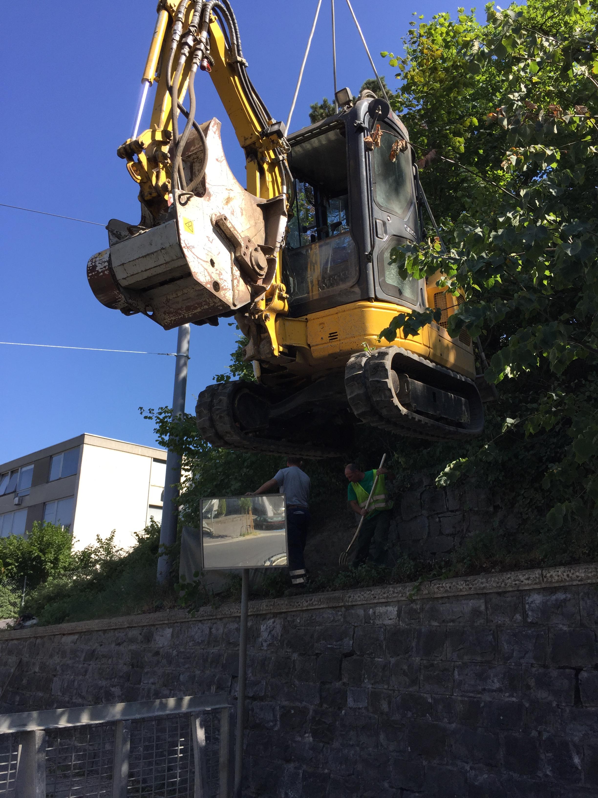 Broyage de souche dans le Jura — SAS POLYVIER
